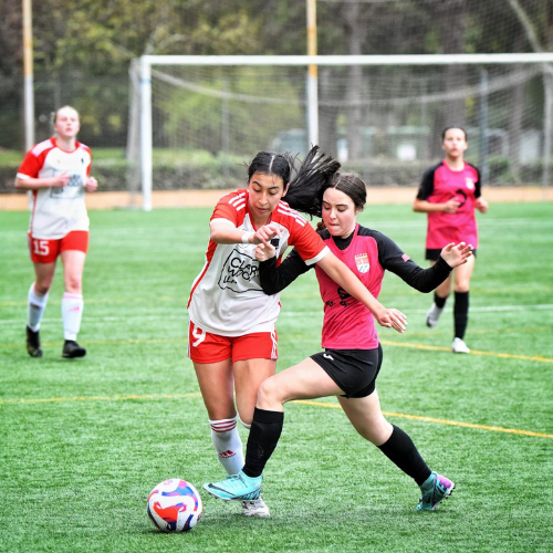 Venus FC